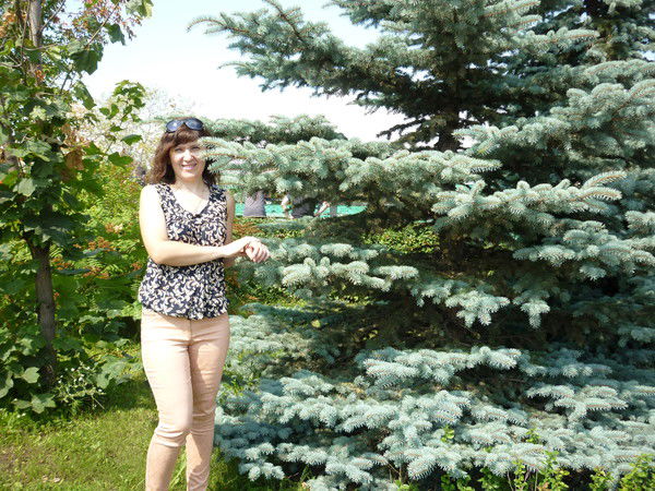 Елена Ибрагимова