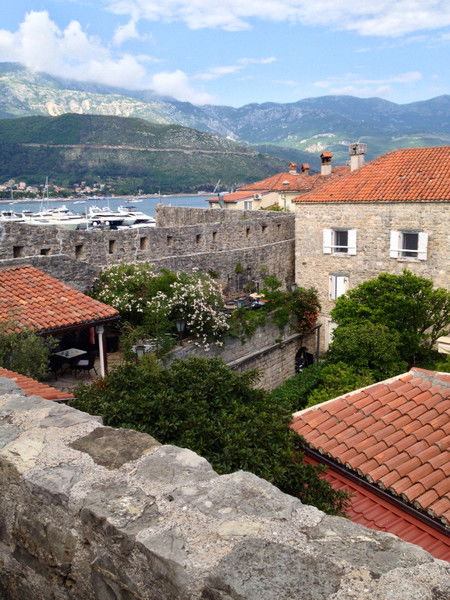 Алена Махрова