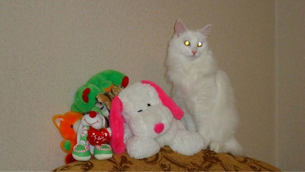 Елена Худяева