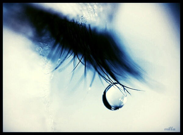 Елена Елена