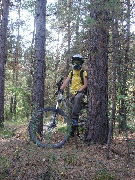 Дмитрий Дейнес