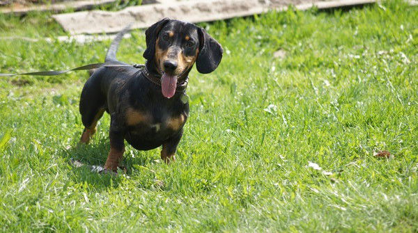 Инна Тюрина