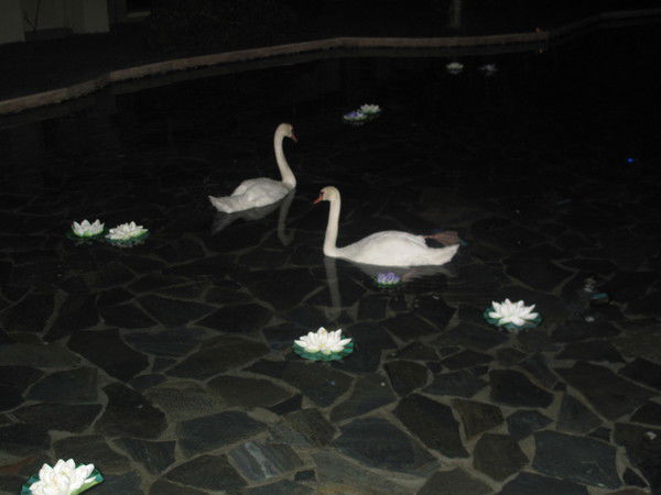 Юлия Гетман