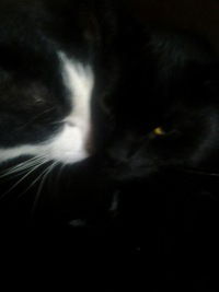 Ирина Маркелова