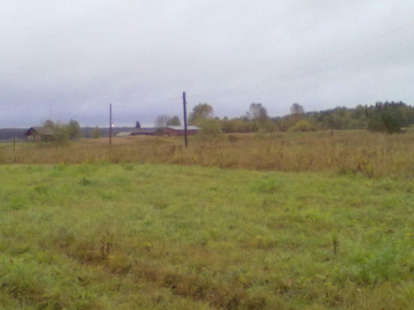 Сергей Заварзин