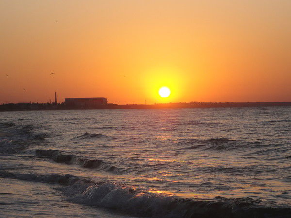 Ольга Розанова