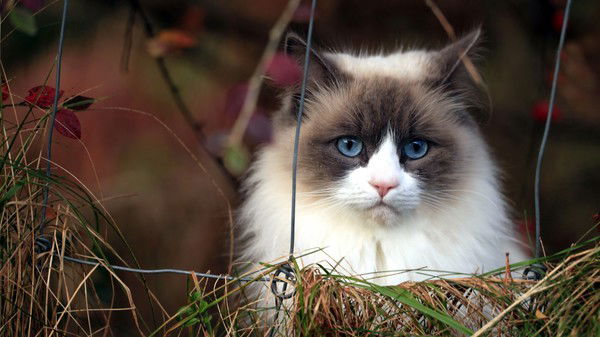 Сергей Жарков