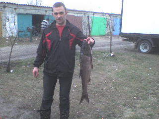 Константин Тимченко