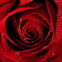 Гулнар Бодыкова