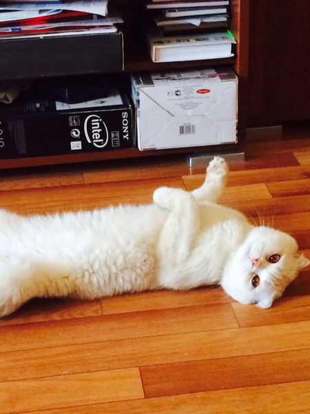 Амина Нурмухамбетова