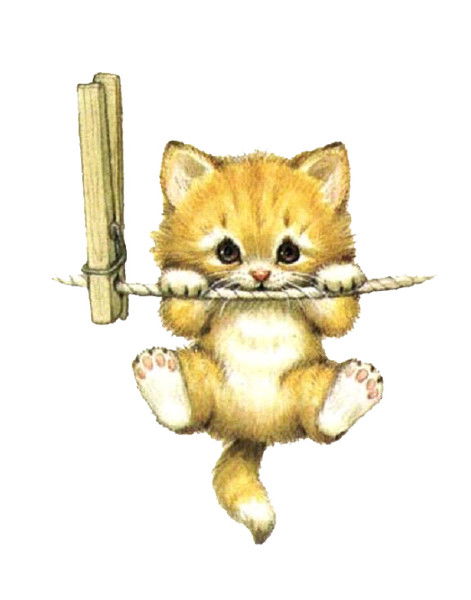 Мария Родина