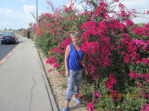 Ольга Теплова