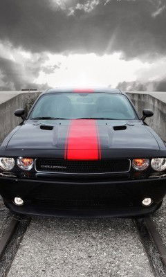 Роман Лугин