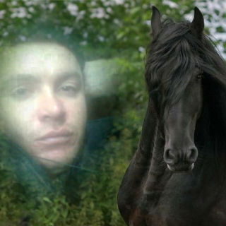 Илья Сушилов