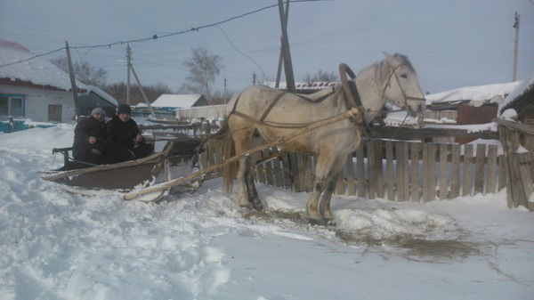Артём Гордеев