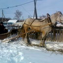 Артём Гордеев