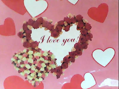 Неля Паникаренко