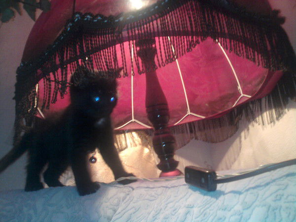 Екатерина Н.