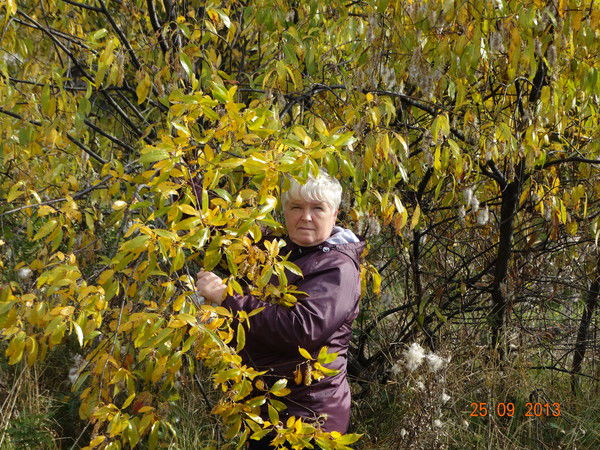 Тамара Серебряков