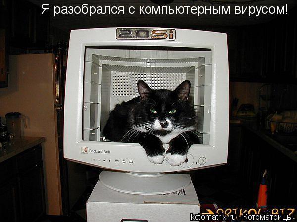 Костя Кирпань