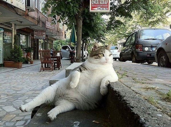 Айнур Астаева