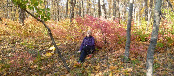 Ирина Шабаева