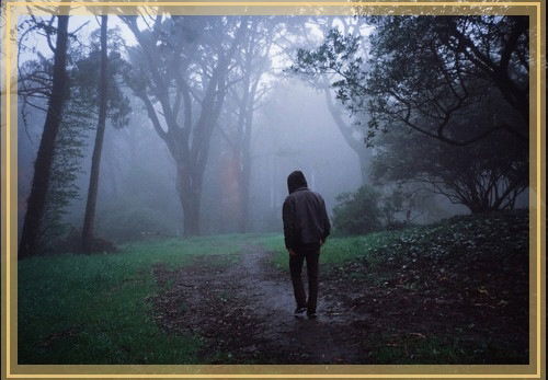 Петрович ((((((((