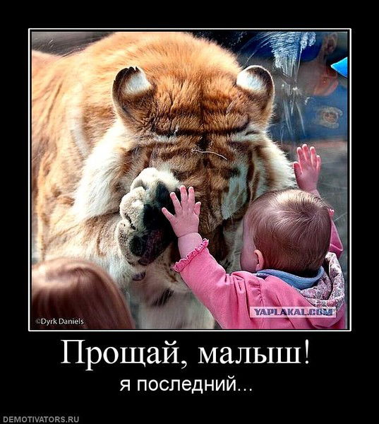 Серафим Дёмин