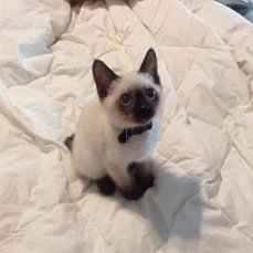 $$Danila$$ @@karavaev@@