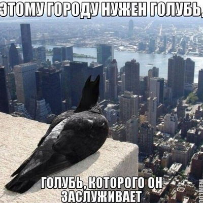 Аркадий Голубев