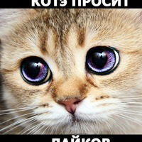 Аня Воробьёва