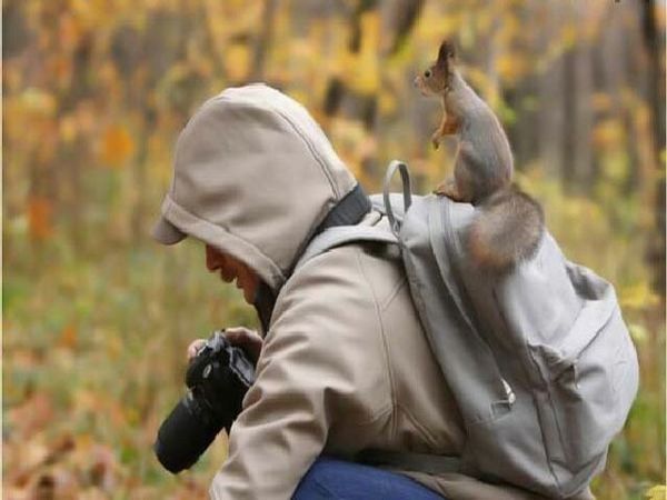 Дмитрий Сергеевич