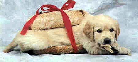 Евгений Егоров