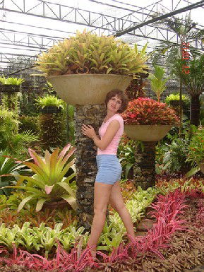 Елена Суминова