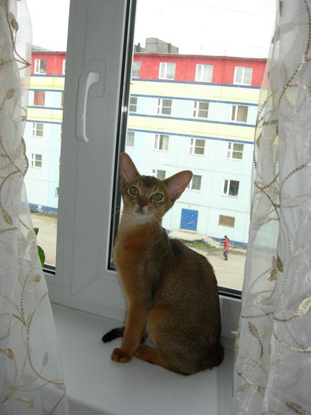 Ольга Бурмага