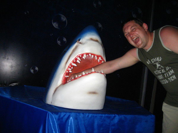 Владимир Ильиных