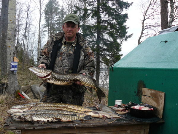 Алексей Кольцов