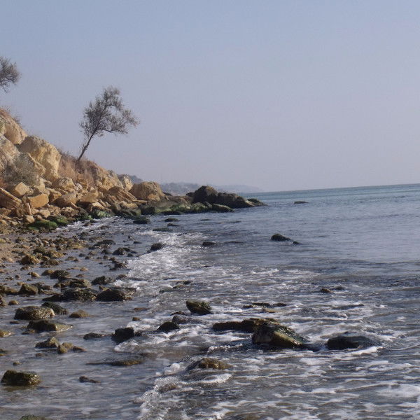 Татьяна *****