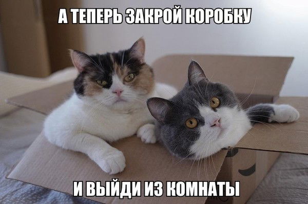 Наталия Смирнова