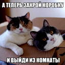 Наталия Смирнова