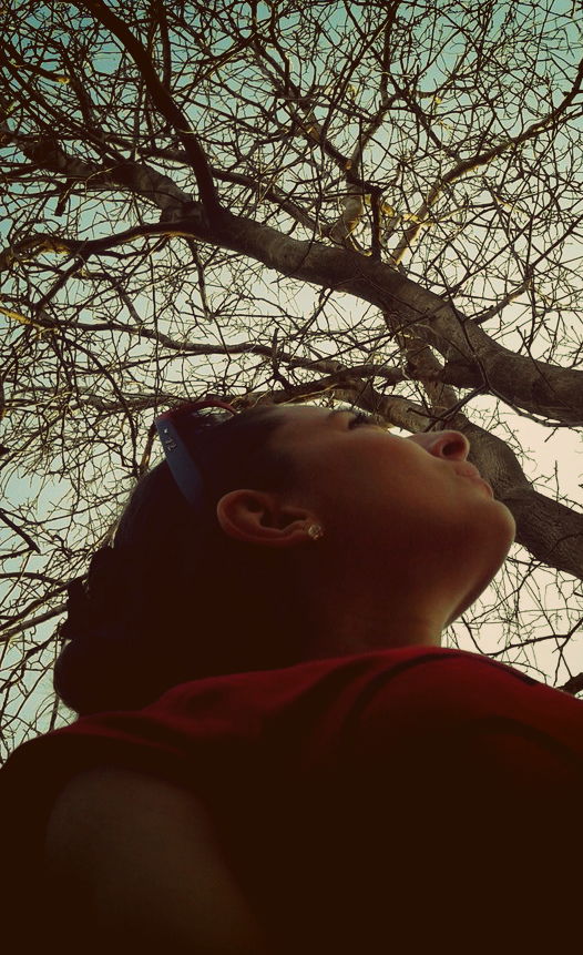 Сестра Чётких Братьев