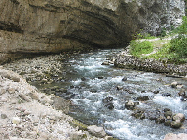 Наталья Спирина