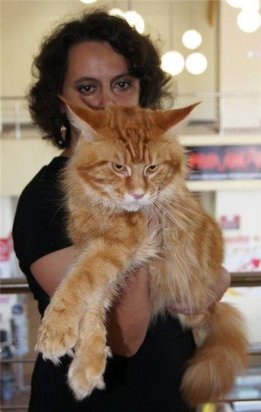 Светлана Иваненко