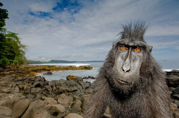 Александр Хламов