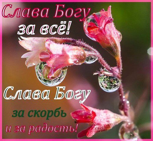 Анна Благодарная