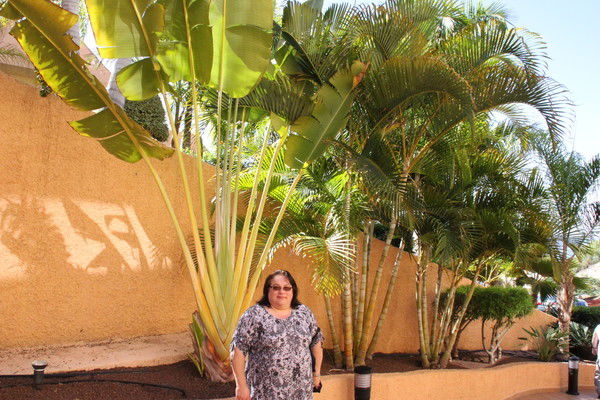 Светлана Рыбакова