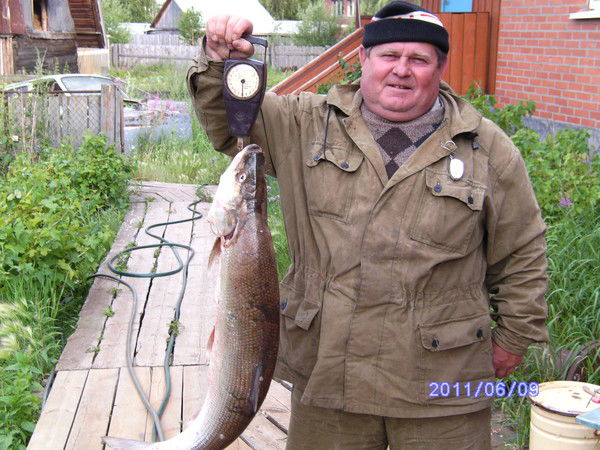 Анатолий Мотыльков