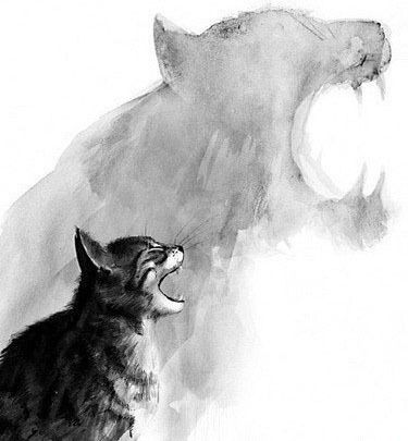 Светлана Белоконь