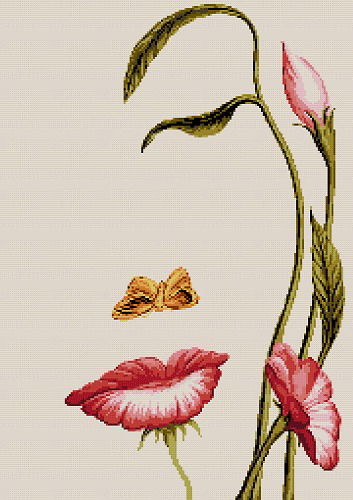 &amp;&amp;&amp; Tatyana Shkurina &amp;&a