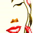 &&& Tatyana Shkurina &&a